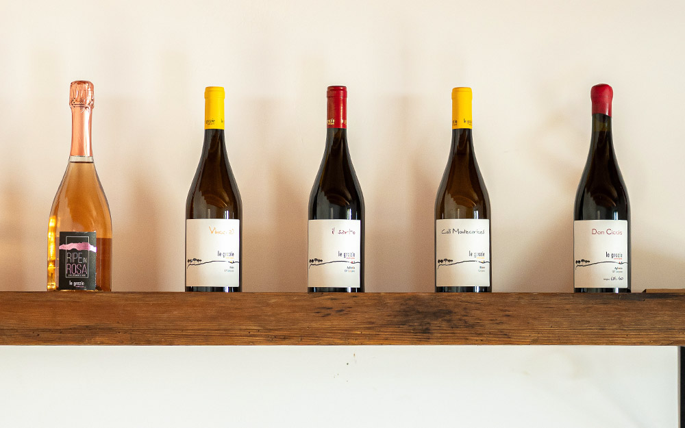 vini del Cilento, turismo enologico